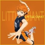 LittleGiant Profilis